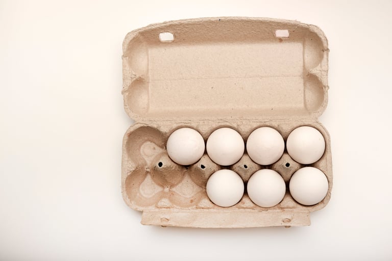 Docenera de huevos blancos orgánicos