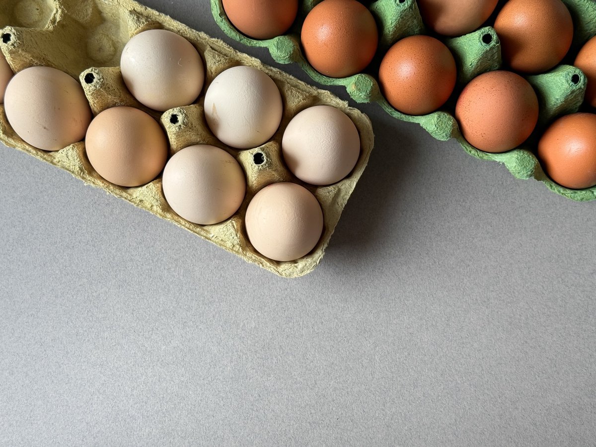 Huevos orgánicos en bandejas verdes