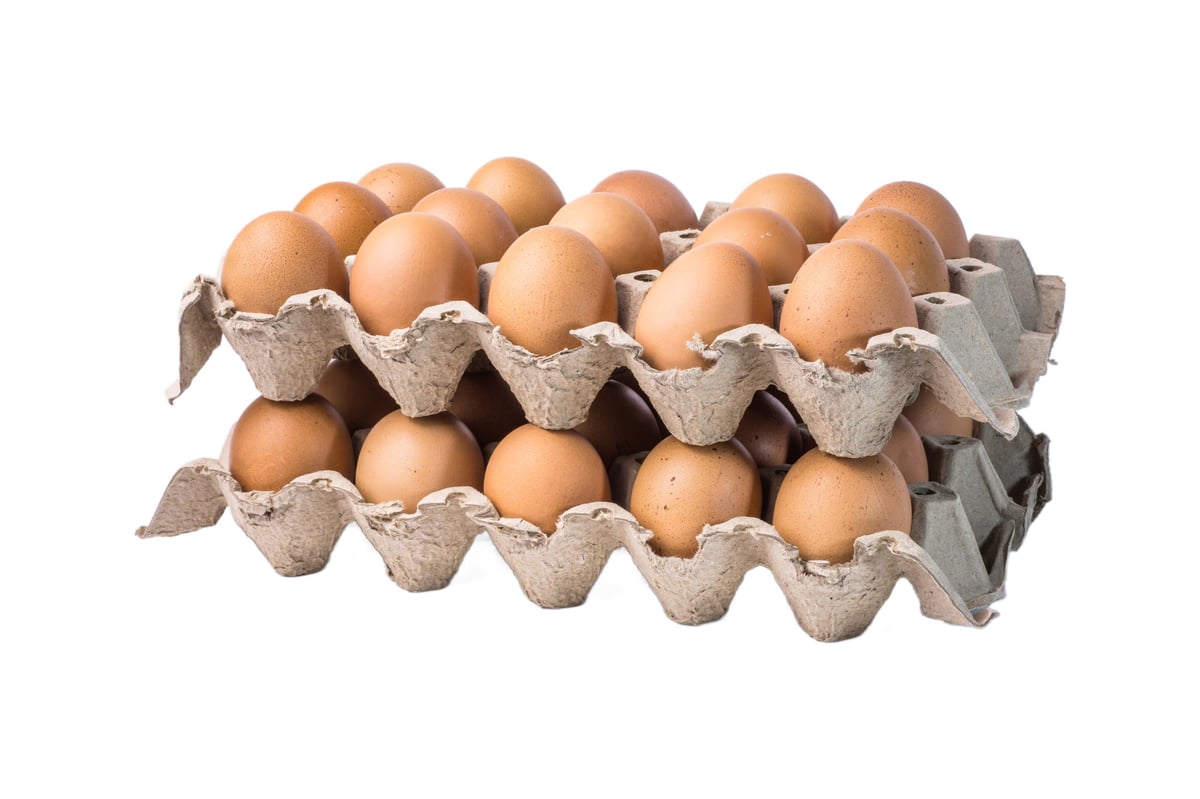 Caja de 360 huevos orgánicos
